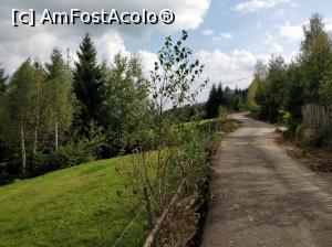 [P32] Fericetul lui Horea, com. Horea, jud. Alba<p> drumul » foto by Dana2008
 - 
<span class="allrVoted glyphicon glyphicon-heart hidden" id="av1013287"></span>
<a class="m-l-10 hidden" id="sv1013287" onclick="voting_Foto_DelVot(,1013287,21083)" role="button">șterge vot <span class="glyphicon glyphicon-remove"></span></a>
<a id="v91013287" class=" c-red"  onclick="voting_Foto_SetVot(1013287)" role="button"><span class="glyphicon glyphicon-heart-empty"></span> <b>LIKE</b> = Votează poza</a> <img class="hidden"  id="f1013287W9" src="/imagini/loader.gif" border="0" /><span class="AjErrMes hidden" id="e1013287ErM"></span>