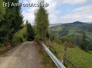 [P33] Fericetul lui Horea, com. Horea, jud. Alba<p> drumul » foto by Dana2008
 - 
<span class="allrVoted glyphicon glyphicon-heart hidden" id="av1013289"></span>
<a class="m-l-10 hidden" id="sv1013289" onclick="voting_Foto_DelVot(,1013289,21083)" role="button">șterge vot <span class="glyphicon glyphicon-remove"></span></a>
<a id="v91013289" class=" c-red"  onclick="voting_Foto_SetVot(1013289)" role="button"><span class="glyphicon glyphicon-heart-empty"></span> <b>LIKE</b> = Votează poza</a> <img class="hidden"  id="f1013289W9" src="/imagini/loader.gif" border="0" /><span class="AjErrMes hidden" id="e1013289ErM"></span>