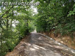 [P34] Fericetul lui Horea, com. Horea, jud. Alba<p> drumul » foto by Dana2008
 - 
<span class="allrVoted glyphicon glyphicon-heart hidden" id="av1013290"></span>
<a class="m-l-10 hidden" id="sv1013290" onclick="voting_Foto_DelVot(,1013290,21083)" role="button">șterge vot <span class="glyphicon glyphicon-remove"></span></a>
<a id="v91013290" class=" c-red"  onclick="voting_Foto_SetVot(1013290)" role="button"><span class="glyphicon glyphicon-heart-empty"></span> <b>LIKE</b> = Votează poza</a> <img class="hidden"  id="f1013290W9" src="/imagini/loader.gif" border="0" /><span class="AjErrMes hidden" id="e1013290ErM"></span>