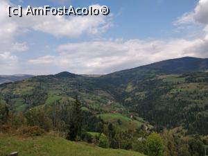 [P37] Fericetul lui Horea, com. Horea, jud. Alba » foto by Dana2008
 - 
<span class="allrVoted glyphicon glyphicon-heart hidden" id="av1013294"></span>
<a class="m-l-10 hidden" id="sv1013294" onclick="voting_Foto_DelVot(,1013294,21083)" role="button">șterge vot <span class="glyphicon glyphicon-remove"></span></a>
<a id="v91013294" class=" c-red"  onclick="voting_Foto_SetVot(1013294)" role="button"><span class="glyphicon glyphicon-heart-empty"></span> <b>LIKE</b> = Votează poza</a> <img class="hidden"  id="f1013294W9" src="/imagini/loader.gif" border="0" /><span class="AjErrMes hidden" id="e1013294ErM"></span>