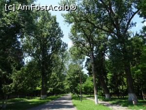 [P15] Aleea plopilor - Parcul „Constantin Poroineanu”.  » foto by tata123 🔱
 - 
<span class="allrVoted glyphicon glyphicon-heart hidden" id="av1087721"></span>
<a class="m-l-10 hidden" id="sv1087721" onclick="voting_Foto_DelVot(,1087721,21093)" role="button">șterge vot <span class="glyphicon glyphicon-remove"></span></a>
<a id="v91087721" class=" c-red"  onclick="voting_Foto_SetVot(1087721)" role="button"><span class="glyphicon glyphicon-heart-empty"></span> <b>LIKE</b> = Votează poza</a> <img class="hidden"  id="f1087721W9" src="/imagini/loader.gif" border="0" /><span class="AjErrMes hidden" id="e1087721ErM"></span>