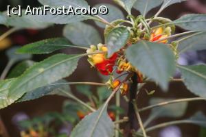 [P33] O altă frumoasă.  » foto by Utube
 - 
<span class="allrVoted glyphicon glyphicon-heart hidden" id="av830684"></span>
<a class="m-l-10 hidden" id="sv830684" onclick="voting_Foto_DelVot(,830684,21101)" role="button">șterge vot <span class="glyphicon glyphicon-remove"></span></a>
<a id="v9830684" class=" c-red"  onclick="voting_Foto_SetVot(830684)" role="button"><span class="glyphicon glyphicon-heart-empty"></span> <b>LIKE</b> = Votează poza</a> <img class="hidden"  id="f830684W9" src="/imagini/loader.gif" border="0" /><span class="AjErrMes hidden" id="e830684ErM"></span>