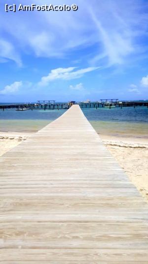 [P02]  -- <small>// FĂRĂ DESCRIERE</small> » foto by Roxie
 - 
<span class="allrVoted glyphicon glyphicon-heart hidden" id="av804324"></span>
<a class="m-l-10 hidden" id="sv804324" onclick="voting_Foto_DelVot(,804324,21202)" role="button">șterge vot <span class="glyphicon glyphicon-remove"></span></a>
<a id="v9804324" class=" c-red"  onclick="voting_Foto_SetVot(804324)" role="button"><span class="glyphicon glyphicon-heart-empty"></span> <b>LIKE</b> = Votează poza</a> <img class="hidden"  id="f804324W9" src="/imagini/loader.gif" border="0" /><span class="AjErrMes hidden" id="e804324ErM"></span>