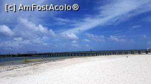 [P03]  -- <small>// FĂRĂ DESCRIERE</small> » foto by Roxie
 - 
<span class="allrVoted glyphicon glyphicon-heart hidden" id="av804325"></span>
<a class="m-l-10 hidden" id="sv804325" onclick="voting_Foto_DelVot(,804325,21202)" role="button">șterge vot <span class="glyphicon glyphicon-remove"></span></a>
<a id="v9804325" class=" c-red"  onclick="voting_Foto_SetVot(804325)" role="button"><span class="glyphicon glyphicon-heart-empty"></span> <b>LIKE</b> = Votează poza</a> <img class="hidden"  id="f804325W9" src="/imagini/loader.gif" border="0" /><span class="AjErrMes hidden" id="e804325ErM"></span>