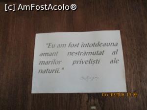 [P01] Amantul privelistilor muntilor Neamtului.  » foto by elviramvio
 - 
<span class="allrVoted glyphicon glyphicon-heart hidden" id="av799203"></span>
<a class="m-l-10 hidden" id="sv799203" onclick="voting_Foto_DelVot(,799203,21211)" role="button">șterge vot <span class="glyphicon glyphicon-remove"></span></a>
<a id="v9799203" class=" c-red"  onclick="voting_Foto_SetVot(799203)" role="button"><span class="glyphicon glyphicon-heart-empty"></span> <b>LIKE</b> = Votează poza</a> <img class="hidden"  id="f799203W9" src="/imagini/loader.gif" border="0" /><span class="AjErrMes hidden" id="e799203ErM"></span>