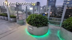 [P04] Fiecare ghiveci este luminat, inclusiv denumirea in latina a speciei expuse si QR-codul care ofera informatii despre respectiva specie. » foto by geani anto
 - 
<span class="allrVoted glyphicon glyphicon-heart hidden" id="av1512348"></span>
<a class="m-l-10 hidden" id="sv1512348" onclick="voting_Foto_DelVot(,1512348,21214)" role="button">șterge vot <span class="glyphicon glyphicon-remove"></span></a>
<a id="v91512348" class=" c-red"  onclick="voting_Foto_SetVot(1512348)" role="button"><span class="glyphicon glyphicon-heart-empty"></span> <b>LIKE</b> = Votează poza</a> <img class="hidden"  id="f1512348W9" src="/imagini/loader.gif" border="0" /><span class="AjErrMes hidden" id="e1512348ErM"></span>