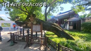 [P01] Changdeokgung, cel de-al doilea palat ce alcatuieste „Palatul de Est”  alaturi de Changgyeonggung, a fost construit incepand cu anul 1405, la doar cativa ani dupa finalizarea palatului principal de atunci, Gyeongbokgung si sub conducerea aceluiasi rege, Taejong. Din pacate, poarta principala era in renovare, astfel ca intrarea si iesirea vizitatorilor este mutata temporar prin poarta Geumhomun.  » foto by geani anto
 - 
<span class="allrVoted glyphicon glyphicon-heart hidden" id="av1515629"></span>
<a class="m-l-10 hidden" id="sv1515629" onclick="voting_Foto_DelVot(,1515629,21214)" role="button">șterge vot <span class="glyphicon glyphicon-remove"></span></a>
<a id="v91515629" class=" c-red"  onclick="voting_Foto_SetVot(1515629)" role="button"><span class="glyphicon glyphicon-heart-empty"></span> <b>LIKE</b> = Votează poza</a> <img class="hidden"  id="f1515629W9" src="/imagini/loader.gif" border="0" /><span class="AjErrMes hidden" id="e1515629ErM"></span>