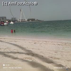 [P18x]  -- <small>// FĂRĂ DESCRIERE</small> » foto by Martinica
 - 
<span class="allrVoted glyphicon glyphicon-heart hidden" id="av1307952"></span>
<a class="m-l-10 hidden" id="sv1307952" onclick="voting_Foto_DelVot(,1307952,21268)" role="button">șterge vot <span class="glyphicon glyphicon-remove"></span></a>
<a id="v91307952" class=" c-red"  onclick="voting_Foto_SetVot(1307952)" role="button"><span class="glyphicon glyphicon-heart-empty"></span> <b>LIKE</b> = Votează poza</a> <img class="hidden"  id="f1307952W9" src="/imagini/loader.gif" border="0" /><span class="AjErrMes hidden" id="e1307952ErM"></span>