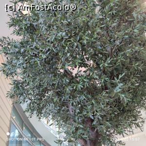 [P19x]  -- <small>// FĂRĂ DESCRIERE</small> » foto by Martinica
 - 
<span class="allrVoted glyphicon glyphicon-heart hidden" id="av1307953"></span>
<a class="m-l-10 hidden" id="sv1307953" onclick="voting_Foto_DelVot(,1307953,21268)" role="button">șterge vot <span class="glyphicon glyphicon-remove"></span></a>
<a id="v91307953" class=" c-red"  onclick="voting_Foto_SetVot(1307953)" role="button"><span class="glyphicon glyphicon-heart-empty"></span> <b>LIKE</b> = Votează poza</a> <img class="hidden"  id="f1307953W9" src="/imagini/loader.gif" border="0" /><span class="AjErrMes hidden" id="e1307953ErM"></span>