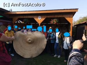 [P03] Vedeta exponatelor » foto by laurand
 - 
<span class="allrVoted glyphicon glyphicon-heart hidden" id="av1514543"></span>
<a class="m-l-10 hidden" id="sv1514543" onclick="voting_Foto_DelVot(,1514543,21335)" role="button">șterge vot <span class="glyphicon glyphicon-remove"></span></a>
<a id="v91514543" class=" c-red"  onclick="voting_Foto_SetVot(1514543)" role="button"><span class="glyphicon glyphicon-heart-empty"></span> <b>LIKE</b> = Votează poza</a> <img class="hidden"  id="f1514543W9" src="/imagini/loader.gif" border="0" /><span class="AjErrMes hidden" id="e1514543ErM"></span>