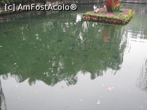 [P16] Baotu Spring Park - si vedem si pestisorii » foto by mishu
 - 
<span class="allrVoted glyphicon glyphicon-heart hidden" id="av824255"></span>
<a class="m-l-10 hidden" id="sv824255" onclick="voting_Foto_DelVot(,824255,21375)" role="button">șterge vot <span class="glyphicon glyphicon-remove"></span></a>
<a id="v9824255" class=" c-red"  onclick="voting_Foto_SetVot(824255)" role="button"><span class="glyphicon glyphicon-heart-empty"></span> <b>LIKE</b> = Votează poza</a> <img class="hidden"  id="f824255W9" src="/imagini/loader.gif" border="0" /><span class="AjErrMes hidden" id="e824255ErM"></span>