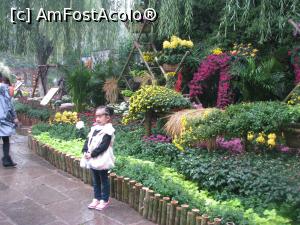 [P21] Baotu Spring Park - domnisoara poza pentru bunici si ceva vreme nu prea am reusit sa scapam de ea.  » foto by mishu
 - 
<span class="allrVoted glyphicon glyphicon-heart hidden" id="av824260"></span>
<a class="m-l-10 hidden" id="sv824260" onclick="voting_Foto_DelVot(,824260,21375)" role="button">șterge vot <span class="glyphicon glyphicon-remove"></span></a>
<a id="v9824260" class=" c-red"  onclick="voting_Foto_SetVot(824260)" role="button"><span class="glyphicon glyphicon-heart-empty"></span> <b>LIKE</b> = Votează poza</a> <img class="hidden"  id="f824260W9" src="/imagini/loader.gif" border="0" /><span class="AjErrMes hidden" id="e824260ErM"></span>