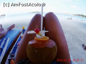 [P01]  -- <small>// FĂRĂ DESCRIERE</small> » foto by Denyse
 - 
<span class="allrVoted glyphicon glyphicon-heart hidden" id="av826423"></span>
<a class="m-l-10 hidden" id="sv826423" onclick="voting_Foto_DelVot(,826423,21404)" role="button">șterge vot <span class="glyphicon glyphicon-remove"></span></a>
<a id="v9826423" class=" c-red"  onclick="voting_Foto_SetVot(826423)" role="button"><span class="glyphicon glyphicon-heart-empty"></span> <b>LIKE</b> = Votează poza</a> <img class="hidden"  id="f826423W9" src="/imagini/loader.gif" border="0" /><span class="AjErrMes hidden" id="e826423ErM"></span>