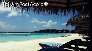 [P02]  -- <small>// FĂRĂ DESCRIERE</small> » foto by Denyse
 - 
<span class="allrVoted glyphicon glyphicon-heart hidden" id="av826424"></span>
<a class="m-l-10 hidden" id="sv826424" onclick="voting_Foto_DelVot(,826424,21404)" role="button">șterge vot <span class="glyphicon glyphicon-remove"></span></a>
<a id="v9826424" class=" c-red"  onclick="voting_Foto_SetVot(826424)" role="button"><span class="glyphicon glyphicon-heart-empty"></span> <b>LIKE</b> = Votează poza</a> <img class="hidden"  id="f826424W9" src="/imagini/loader.gif" border="0" /><span class="AjErrMes hidden" id="e826424ErM"></span>