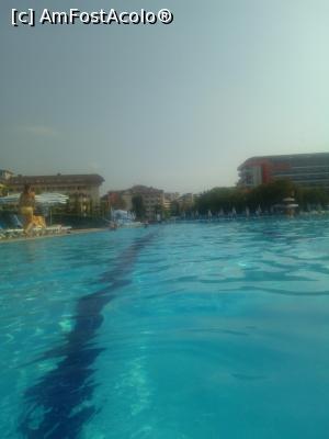 [P09]  -- <small>// FĂRĂ DESCRIERE</small> » foto by gabi76
 - 
<span class="allrVoted glyphicon glyphicon-heart hidden" id="av1003683"></span>
<a class="m-l-10 hidden" id="sv1003683" onclick="voting_Foto_DelVot(,1003683,21411)" role="button">șterge vot <span class="glyphicon glyphicon-remove"></span></a>
<a id="v91003683" class=" c-red"  onclick="voting_Foto_SetVot(1003683)" role="button"><span class="glyphicon glyphicon-heart-empty"></span> <b>LIKE</b> = Votează poza</a> <img class="hidden"  id="f1003683W9" src="/imagini/loader.gif" border="0" /><span class="AjErrMes hidden" id="e1003683ErM"></span>