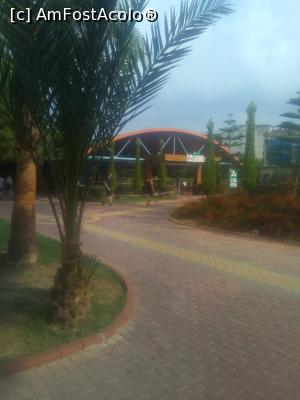 [P33]  -- <small>// FĂRĂ DESCRIERE</small> » foto by gabi76
 - 
<span class="allrVoted glyphicon glyphicon-heart hidden" id="av1008012"></span>
<a class="m-l-10 hidden" id="sv1008012" onclick="voting_Foto_DelVot(,1008012,21411)" role="button">șterge vot <span class="glyphicon glyphicon-remove"></span></a>
<a id="v91008012" class=" c-red"  onclick="voting_Foto_SetVot(1008012)" role="button"><span class="glyphicon glyphicon-heart-empty"></span> <b>LIKE</b> = Votează poza</a> <img class="hidden"  id="f1008012W9" src="/imagini/loader.gif" border="0" /><span class="AjErrMes hidden" id="e1008012ErM"></span>