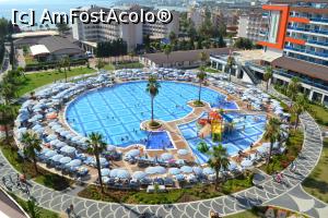 [P04]  -- <small>// FĂRĂ DESCRIERE</small> » foto by VasiuM
 - 
<span class="allrVoted glyphicon glyphicon-heart hidden" id="av1045390"></span>
<a class="m-l-10 hidden" id="sv1045390" onclick="voting_Foto_DelVot(,1045390,21411)" role="button">șterge vot <span class="glyphicon glyphicon-remove"></span></a>
<a id="v91045390" class=" c-red"  onclick="voting_Foto_SetVot(1045390)" role="button"><span class="glyphicon glyphicon-heart-empty"></span> <b>LIKE</b> = Votează poza</a> <img class="hidden"  id="f1045390W9" src="/imagini/loader.gif" border="0" /><span class="AjErrMes hidden" id="e1045390ErM"></span>