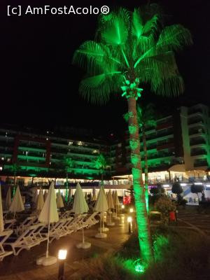 [P05]  -- <small>// FĂRĂ DESCRIERE</small> » foto by crystynyta
 - 
<span class="allrVoted glyphicon glyphicon-heart hidden" id="av1108314"></span>
<a class="m-l-10 hidden" id="sv1108314" onclick="voting_Foto_DelVot(,1108314,21411)" role="button">șterge vot <span class="glyphicon glyphicon-remove"></span></a>
<a id="v91108314" class=" c-red"  onclick="voting_Foto_SetVot(1108314)" role="button"><span class="glyphicon glyphicon-heart-empty"></span> <b>LIKE</b> = Votează poza</a> <img class="hidden"  id="f1108314W9" src="/imagini/loader.gif" border="0" /><span class="AjErrMes hidden" id="e1108314ErM"></span>