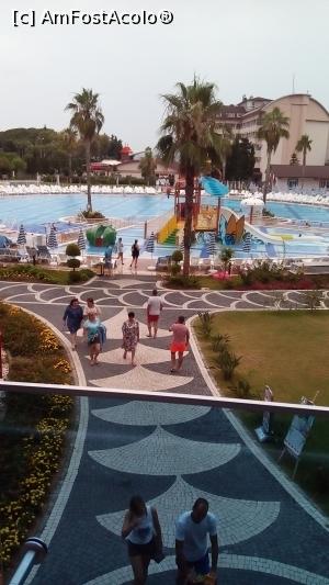 [P16]  -- <small>// FĂRĂ DESCRIERE</small> » foto by michaela_1961
 - 
<span class="allrVoted glyphicon glyphicon-heart hidden" id="av975946"></span>
<a class="m-l-10 hidden" id="sv975946" onclick="voting_Foto_DelVot(,975946,21411)" role="button">șterge vot <span class="glyphicon glyphicon-remove"></span></a>
<a id="v9975946" class=" c-red"  onclick="voting_Foto_SetVot(975946)" role="button"><span class="glyphicon glyphicon-heart-empty"></span> <b>LIKE</b> = Votează poza</a> <img class="hidden"  id="f975946W9" src="/imagini/loader.gif" border="0" /><span class="AjErrMes hidden" id="e975946ErM"></span>