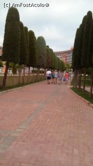 [P21] Aleea de la/catre plaja » foto by michaela_1961
 - 
<span class="allrVoted glyphicon glyphicon-heart hidden" id="av975951"></span>
<a class="m-l-10 hidden" id="sv975951" onclick="voting_Foto_DelVot(,975951,21411)" role="button">șterge vot <span class="glyphicon glyphicon-remove"></span></a>
<a id="v9975951" class=" c-red"  onclick="voting_Foto_SetVot(975951)" role="button"><span class="glyphicon glyphicon-heart-empty"></span> <b>LIKE</b> = Votează poza</a> <img class="hidden"  id="f975951W9" src="/imagini/loader.gif" border="0" /><span class="AjErrMes hidden" id="e975951ErM"></span>