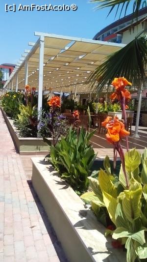 [P29] alta terasa » foto by michaela_1961
 - 
<span class="allrVoted glyphicon glyphicon-heart hidden" id="av975959"></span>
<a class="m-l-10 hidden" id="sv975959" onclick="voting_Foto_DelVot(,975959,21411)" role="button">șterge vot <span class="glyphicon glyphicon-remove"></span></a>
<a id="v9975959" class=" c-red"  onclick="voting_Foto_SetVot(975959)" role="button"><span class="glyphicon glyphicon-heart-empty"></span> <b>LIKE</b> = Votează poza</a> <img class="hidden"  id="f975959W9" src="/imagini/loader.gif" border="0" /><span class="AjErrMes hidden" id="e975959ErM"></span>