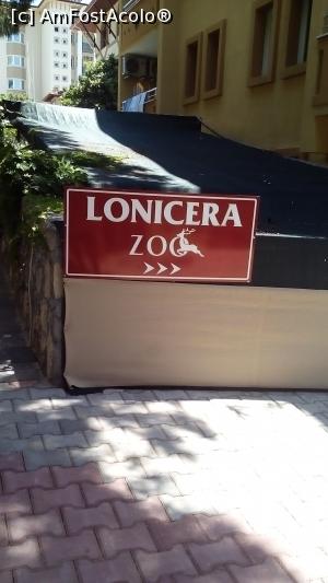 [P30]  -- <small>// FĂRĂ DESCRIERE</small> » foto by michaela_1961
 - 
<span class="allrVoted glyphicon glyphicon-heart hidden" id="av975960"></span>
<a class="m-l-10 hidden" id="sv975960" onclick="voting_Foto_DelVot(,975960,21411)" role="button">șterge vot <span class="glyphicon glyphicon-remove"></span></a>
<a id="v9975960" class=" c-red"  onclick="voting_Foto_SetVot(975960)" role="button"><span class="glyphicon glyphicon-heart-empty"></span> <b>LIKE</b> = Votează poza</a> <img class="hidden"  id="f975960W9" src="/imagini/loader.gif" border="0" /><span class="AjErrMes hidden" id="e975960ErM"></span>