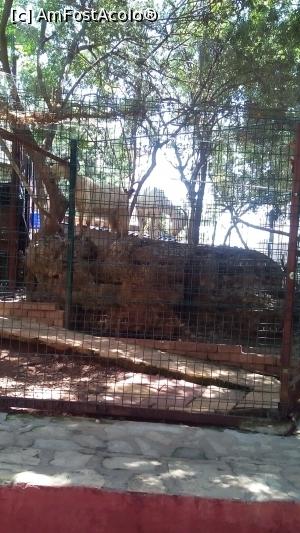 [P31]  -- <small>// FĂRĂ DESCRIERE</small> » foto by michaela_1961
 - 
<span class="allrVoted glyphicon glyphicon-heart hidden" id="av975961"></span>
<a class="m-l-10 hidden" id="sv975961" onclick="voting_Foto_DelVot(,975961,21411)" role="button">șterge vot <span class="glyphicon glyphicon-remove"></span></a>
<a id="v9975961" class=" c-red"  onclick="voting_Foto_SetVot(975961)" role="button"><span class="glyphicon glyphicon-heart-empty"></span> <b>LIKE</b> = Votează poza</a> <img class="hidden"  id="f975961W9" src="/imagini/loader.gif" border="0" /><span class="AjErrMes hidden" id="e975961ErM"></span>