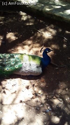 [P32]  -- <small>// FĂRĂ DESCRIERE</small> » foto by michaela_1961
 - 
<span class="allrVoted glyphicon glyphicon-heart hidden" id="av975962"></span>
<a class="m-l-10 hidden" id="sv975962" onclick="voting_Foto_DelVot(,975962,21411)" role="button">șterge vot <span class="glyphicon glyphicon-remove"></span></a>
<a id="v9975962" class=" c-red"  onclick="voting_Foto_SetVot(975962)" role="button"><span class="glyphicon glyphicon-heart-empty"></span> <b>LIKE</b> = Votează poza</a> <img class="hidden"  id="f975962W9" src="/imagini/loader.gif" border="0" /><span class="AjErrMes hidden" id="e975962ErM"></span>