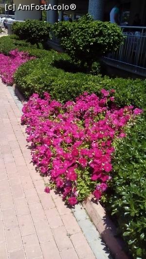 [P33]  -- <small>// FĂRĂ DESCRIERE</small> » foto by michaela_1961
 - 
<span class="allrVoted glyphicon glyphicon-heart hidden" id="av975963"></span>
<a class="m-l-10 hidden" id="sv975963" onclick="voting_Foto_DelVot(,975963,21411)" role="button">șterge vot <span class="glyphicon glyphicon-remove"></span></a>
<a id="v9975963" class=" c-red"  onclick="voting_Foto_SetVot(975963)" role="button"><span class="glyphicon glyphicon-heart-empty"></span> <b>LIKE</b> = Votează poza</a> <img class="hidden"  id="f975963W9" src="/imagini/loader.gif" border="0" /><span class="AjErrMes hidden" id="e975963ErM"></span>