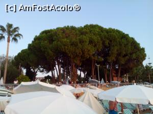 [P03] Plaja » foto by Yoda
 - 
<span class="allrVoted glyphicon glyphicon-heart hidden" id="av1116256"></span>
<a class="m-l-10 hidden" id="sv1116256" onclick="voting_Foto_DelVot(,1116256,21411)" role="button">șterge vot <span class="glyphicon glyphicon-remove"></span></a>
<a id="v91116256" class=" c-red"  onclick="voting_Foto_SetVot(1116256)" role="button"><span class="glyphicon glyphicon-heart-empty"></span> <b>LIKE</b> = Votează poza</a> <img class="hidden"  id="f1116256W9" src="/imagini/loader.gif" border="0" /><span class="AjErrMes hidden" id="e1116256ErM"></span>