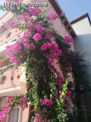 [P08] Prin împrejurimile hotelului » foto by edulescu
 - 
<span class="allrVoted glyphicon glyphicon-heart hidden" id="av991881"></span>
<a class="m-l-10 hidden" id="sv991881" onclick="voting_Foto_DelVot(,991881,21411)" role="button">șterge vot <span class="glyphicon glyphicon-remove"></span></a>
<a id="v9991881" class=" c-red"  onclick="voting_Foto_SetVot(991881)" role="button"><span class="glyphicon glyphicon-heart-empty"></span> <b>LIKE</b> = Votează poza</a> <img class="hidden"  id="f991881W9" src="/imagini/loader.gif" border="0" /><span class="AjErrMes hidden" id="e991881ErM"></span>