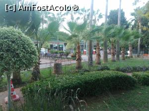 [P45]  -- <small>// FĂRĂ DESCRIERE</small> » foto by mariuscfar
 - 
<span class="allrVoted glyphicon glyphicon-heart hidden" id="av899167"></span>
<a class="m-l-10 hidden" id="sv899167" onclick="voting_Foto_DelVot(,899167,21411)" role="button">șterge vot <span class="glyphicon glyphicon-remove"></span></a>
<a id="v9899167" class=" c-red"  onclick="voting_Foto_SetVot(899167)" role="button"><span class="glyphicon glyphicon-heart-empty"></span> <b>LIKE</b> = Votează poza</a> <img class="hidden"  id="f899167W9" src="/imagini/loader.gif" border="0" /><span class="AjErrMes hidden" id="e899167ErM"></span>