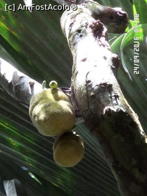 [P49]  -- <small>// FĂRĂ DESCRIERE</small> » foto by Alina53
 - 
<span class="allrVoted glyphicon glyphicon-heart hidden" id="av826916"></span>
<a class="m-l-10 hidden" id="sv826916" onclick="voting_Foto_DelVot(,826916,21412)" role="button">șterge vot <span class="glyphicon glyphicon-remove"></span></a>
<a id="v9826916" class=" c-red"  onclick="voting_Foto_SetVot(826916)" role="button"><span class="glyphicon glyphicon-heart-empty"></span> <b>LIKE</b> = Votează poza</a> <img class="hidden"  id="f826916W9" src="/imagini/loader.gif" border="0" /><span class="AjErrMes hidden" id="e826916ErM"></span>