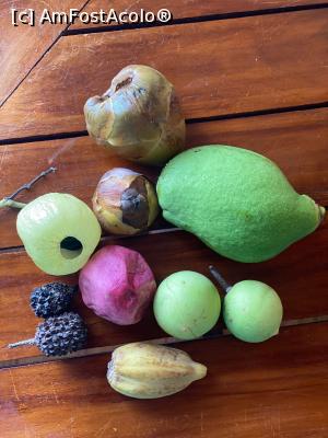 [P22] Fructe din Praslin » foto by Roxelly
 - 
<span class="allrVoted glyphicon glyphicon-heart hidden" id="av1313658"></span>
<a class="m-l-10 hidden" id="sv1313658" onclick="voting_Foto_DelVot(,1313658,21412)" role="button">șterge vot <span class="glyphicon glyphicon-remove"></span></a>
<a id="v91313658" class=" c-red"  onclick="voting_Foto_SetVot(1313658)" role="button"><span class="glyphicon glyphicon-heart-empty"></span> <b>LIKE</b> = Votează poza</a> <img class="hidden"  id="f1313658W9" src="/imagini/loader.gif" border="0" /><span class="AjErrMes hidden" id="e1313658ErM"></span>