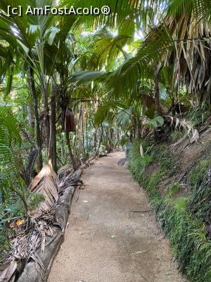 [P24] Vallee de Mai » foto by Roxelly
 - 
<span class="allrVoted glyphicon glyphicon-heart hidden" id="av1313660"></span>
<a class="m-l-10 hidden" id="sv1313660" onclick="voting_Foto_DelVot(,1313660,21412)" role="button">șterge vot <span class="glyphicon glyphicon-remove"></span></a>
<a id="v91313660" class=" c-red"  onclick="voting_Foto_SetVot(1313660)" role="button"><span class="glyphicon glyphicon-heart-empty"></span> <b>LIKE</b> = Votează poza</a> <img class="hidden"  id="f1313660W9" src="/imagini/loader.gif" border="0" /><span class="AjErrMes hidden" id="e1313660ErM"></span>