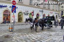 [P03] Austria - Viena - Stephansplatz si Stephansdom - trasurile care isi asteapta clientii » foto by irma_ro*
 - 
<span class="allrVoted glyphicon glyphicon-heart hidden" id="av169338"></span>
<a class="m-l-10 hidden" id="sv169338" onclick="voting_Foto_DelVot(,169338,21492)" role="button">șterge vot <span class="glyphicon glyphicon-remove"></span></a>
<a id="v9169338" class=" c-red"  onclick="voting_Foto_SetVot(169338)" role="button"><span class="glyphicon glyphicon-heart-empty"></span> <b>LIKE</b> = Votează poza</a> <img class="hidden"  id="f169338W9" src="/imagini/loader.gif" border="0" /><span class="AjErrMes hidden" id="e169338ErM"></span>