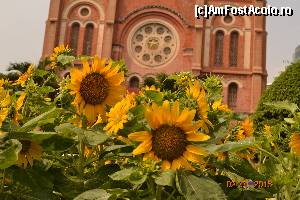 [P30] o poza artistica, catedrala in lumina floarei soarelui » foto by andreea72
 - 
<span class="allrVoted glyphicon glyphicon-heart hidden" id="av593591"></span>
<a class="m-l-10 hidden" id="sv593591" onclick="voting_Foto_DelVot(,593591,21496)" role="button">șterge vot <span class="glyphicon glyphicon-remove"></span></a>
<a id="v9593591" class=" c-red"  onclick="voting_Foto_SetVot(593591)" role="button"><span class="glyphicon glyphicon-heart-empty"></span> <b>LIKE</b> = Votează poza</a> <img class="hidden"  id="f593591W9" src="/imagini/loader.gif" border="0" /><span class="AjErrMes hidden" id="e593591ErM"></span>