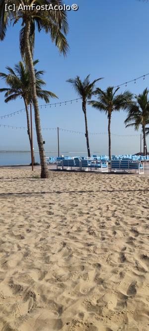 [P01] Plaja Bin Majid » foto by luc64
 - 
<span class="allrVoted glyphicon glyphicon-heart hidden" id="av1306458"></span>
<a class="m-l-10 hidden" id="sv1306458" onclick="voting_Foto_DelVot(,1306458,21516)" role="button">șterge vot <span class="glyphicon glyphicon-remove"></span></a>
<a id="v91306458" class=" c-red"  onclick="voting_Foto_SetVot(1306458)" role="button"><span class="glyphicon glyphicon-heart-empty"></span> <b>LIKE</b> = Votează poza</a> <img class="hidden"  id="f1306458W9" src="/imagini/loader.gif" border="0" /><span class="AjErrMes hidden" id="e1306458ErM"></span>