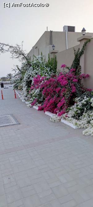 [P11] Vegetatie in exteriorul hotelului » foto by luc64
 - 
<span class="allrVoted glyphicon glyphicon-heart hidden" id="av1306468"></span>
<a class="m-l-10 hidden" id="sv1306468" onclick="voting_Foto_DelVot(,1306468,21516)" role="button">șterge vot <span class="glyphicon glyphicon-remove"></span></a>
<a id="v91306468" class=" c-red"  onclick="voting_Foto_SetVot(1306468)" role="button"><span class="glyphicon glyphicon-heart-empty"></span> <b>LIKE</b> = Votează poza</a> <img class="hidden"  id="f1306468W9" src="/imagini/loader.gif" border="0" /><span class="AjErrMes hidden" id="e1306468ErM"></span>
