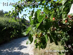 [P27] Dude de Parthenonas » foto by Alina53
 - 
<span class="allrVoted glyphicon glyphicon-heart hidden" id="av833374"></span>
<a class="m-l-10 hidden" id="sv833374" onclick="voting_Foto_DelVot(,833374,21533)" role="button">șterge vot <span class="glyphicon glyphicon-remove"></span></a>
<a id="v9833374" class=" c-red"  onclick="voting_Foto_SetVot(833374)" role="button"><span class="glyphicon glyphicon-heart-empty"></span> <b>LIKE</b> = Votează poza</a> <img class="hidden"  id="f833374W9" src="/imagini/loader.gif" border="0" /><span class="AjErrMes hidden" id="e833374ErM"></span>