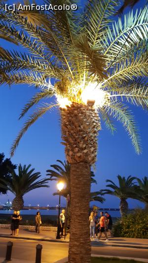 [P19] Nu rezist tentației și fotografiez palmierul iluminat în trei culori diferite. » foto by Carmen Ion
 - 
<span class="allrVoted glyphicon glyphicon-heart hidden" id="av1206388"></span>
<a class="m-l-10 hidden" id="sv1206388" onclick="voting_Foto_DelVot(,1206388,21565)" role="button">șterge vot <span class="glyphicon glyphicon-remove"></span></a>
<a id="v91206388" class=" c-red"  onclick="voting_Foto_SetVot(1206388)" role="button"><span class="glyphicon glyphicon-heart-empty"></span> <b>LIKE</b> = Votează poza</a> <img class="hidden"  id="f1206388W9" src="/imagini/loader.gif" border="0" /><span class="AjErrMes hidden" id="e1206388ErM"></span>