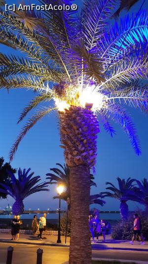 [P20] Palmierul iluminat în a doua nuanță. » foto by Carmen Ion
 - 
<span class="allrVoted glyphicon glyphicon-heart hidden" id="av1206389"></span>
<a class="m-l-10 hidden" id="sv1206389" onclick="voting_Foto_DelVot(,1206389,21565)" role="button">șterge vot <span class="glyphicon glyphicon-remove"></span></a>
<a id="v91206389" class=" c-red"  onclick="voting_Foto_SetVot(1206389)" role="button"><span class="glyphicon glyphicon-heart-empty"></span> <b>LIKE</b> = Votează poza</a> <img class="hidden"  id="f1206389W9" src="/imagini/loader.gif" border="0" /><span class="AjErrMes hidden" id="e1206389ErM"></span>