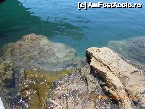 [P14] Aceste stânci sunt acoperite de apă. E atât de limpede, încât par a fi la suprafață.  » foto by Rodel
 - 
<span class="allrVoted glyphicon glyphicon-heart hidden" id="av500814"></span>
<a class="m-l-10 hidden" id="sv500814" onclick="voting_Foto_DelVot(,500814,21568)" role="button">șterge vot <span class="glyphicon glyphicon-remove"></span></a>
<a id="v9500814" class=" c-red"  onclick="voting_Foto_SetVot(500814)" role="button"><span class="glyphicon glyphicon-heart-empty"></span> <b>LIKE</b> = Votează poza</a> <img class="hidden"  id="f500814W9" src="/imagini/loader.gif" border="0" /><span class="AjErrMes hidden" id="e500814ErM"></span>