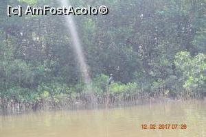 [P23]  -- <small>// FĂRĂ DESCRIERE</small> » foto by robert
 - 
<span class="allrVoted glyphicon glyphicon-heart hidden" id="av837500"></span>
<a class="m-l-10 hidden" id="sv837500" onclick="voting_Foto_DelVot(,837500,21572)" role="button">șterge vot <span class="glyphicon glyphicon-remove"></span></a>
<a id="v9837500" class=" c-red"  onclick="voting_Foto_SetVot(837500)" role="button"><span class="glyphicon glyphicon-heart-empty"></span> <b>LIKE</b> = Votează poza</a> <img class="hidden"  id="f837500W9" src="/imagini/loader.gif" border="0" /><span class="AjErrMes hidden" id="e837500ErM"></span>