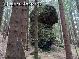 [P08] Un prim megalit aflat in pădure » foto by Mika
 - 
<span class="allrVoted glyphicon glyphicon-heart hidden" id="av1265491"></span>
<a class="m-l-10 hidden" id="sv1265491" onclick="voting_Foto_DelVot(,1265491,21597)" role="button">șterge vot <span class="glyphicon glyphicon-remove"></span></a>
<a id="v91265491" class=" c-red"  onclick="voting_Foto_SetVot(1265491)" role="button"><span class="glyphicon glyphicon-heart-empty"></span> <b>LIKE</b> = Votează poza</a> <img class="hidden"  id="f1265491W9" src="/imagini/loader.gif" border="0" /><span class="AjErrMes hidden" id="e1265491ErM"></span>