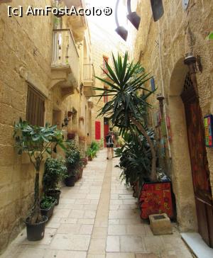 P17 [SEP-2016] Strada in Birgu. Mai greu daca vii cu pianu'