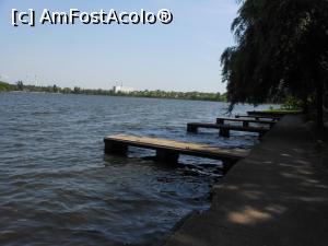 [P21] București - Parcul Tei. Pe malul lacului. » foto by iulianic
 - 
<span class="allrVoted glyphicon glyphicon-heart hidden" id="av1366184"></span>
<a class="m-l-10 hidden" id="sv1366184" onclick="voting_Foto_DelVot(,1366184,21819)" role="button">șterge vot <span class="glyphicon glyphicon-remove"></span></a>
<a id="v91366184" class=" c-red"  onclick="voting_Foto_SetVot(1366184)" role="button"><span class="glyphicon glyphicon-heart-empty"></span> <b>LIKE</b> = Votează poza</a> <img class="hidden"  id="f1366184W9" src="/imagini/loader.gif" border="0" /><span class="AjErrMes hidden" id="e1366184ErM"></span>