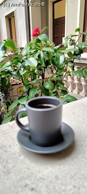 [P20] Dimineața la cafea. » foto by tata123 🔱
 - 
<span class="allrVoted glyphicon glyphicon-heart hidden" id="av1415850"></span>
<a class="m-l-10 hidden" id="sv1415850" onclick="voting_Foto_DelVot(,1415850,21864)" role="button">șterge vot <span class="glyphicon glyphicon-remove"></span></a>
<a id="v91415850" class=" c-red"  onclick="voting_Foto_SetVot(1415850)" role="button"><span class="glyphicon glyphicon-heart-empty"></span> <b>LIKE</b> = Votează poza</a> <img class="hidden"  id="f1415850W9" src="/imagini/loader.gif" border="0" /><span class="AjErrMes hidden" id="e1415850ErM"></span>