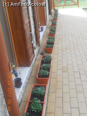 [P07] pe toată lungimea pensiunii sunt jardiniere cu flori » foto by zlatna
 - 
<span class="allrVoted glyphicon glyphicon-heart hidden" id="av852643"></span>
<a class="m-l-10 hidden" id="sv852643" onclick="voting_Foto_DelVot(,852643,21877)" role="button">șterge vot <span class="glyphicon glyphicon-remove"></span></a>
<a id="v9852643" class=" c-red"  onclick="voting_Foto_SetVot(852643)" role="button"><span class="glyphicon glyphicon-heart-empty"></span> <b>LIKE</b> = Votează poza</a> <img class="hidden"  id="f852643W9" src="/imagini/loader.gif" border="0" /><span class="AjErrMes hidden" id="e852643ErM"></span>