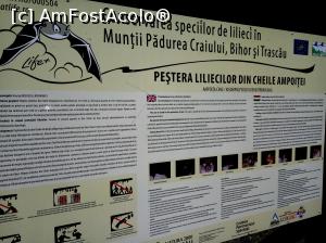 [P25] Pestera Liliecilor din Cheile Ampoitei, jud. Alba » foto by Dana2008
 - 
<span class="allrVoted glyphicon glyphicon-heart hidden" id="av854890"></span>
<a class="m-l-10 hidden" id="sv854890" onclick="voting_Foto_DelVot(,854890,21901)" role="button">șterge vot <span class="glyphicon glyphicon-remove"></span></a>
<a id="v9854890" class=" c-red"  onclick="voting_Foto_SetVot(854890)" role="button"><span class="glyphicon glyphicon-heart-empty"></span> <b>LIKE</b> = Votează poza</a> <img class="hidden"  id="f854890W9" src="/imagini/loader.gif" border="0" /><span class="AjErrMes hidden" id="e854890ErM"></span>